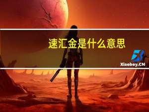 速汇金是什么意思（速汇金）