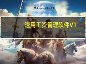 速用工资管理软件 V1.0 工厂版（速用工资管理软件 V1.0 工厂版功能简介）