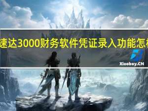 速达3000财务软件凭证录入功能怎样操作（速达3000财务软件）