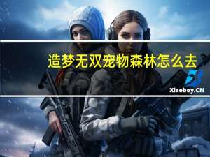造梦无双宠物森林怎么去