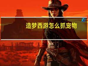 造梦西游怎么抓宠物