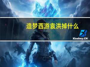 造梦西游袁洪掉什么（造梦西游3袁洪掉什么）