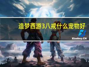 造梦西游3八戒什么宠物好