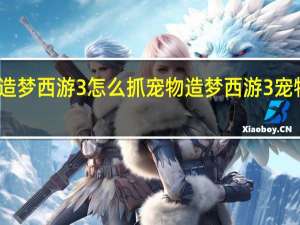 造梦西游3怎么抓宠物 造梦西游3宠物大全