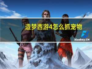 造梦西游4怎么抓宠物