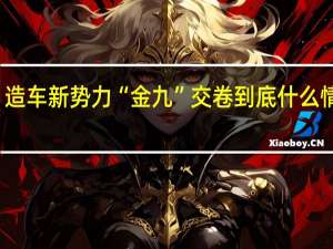造车新势力“金九”交卷 到底什么情况嘞