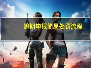 逾期申报简易处罚流程