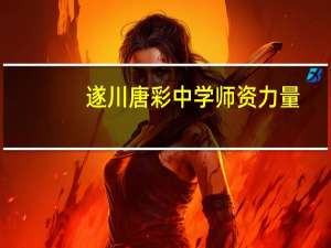 遂川唐彩中学师资力量