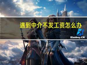遇到中介不发工资怎么办
