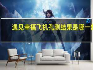遇见幸福飞机孔测结果是哪一集