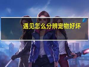 遇见怎么分辨宠物好坏