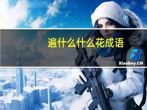 遍什么什么花成语