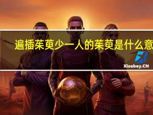 遍插茱萸少一人的茱萸是什么意思