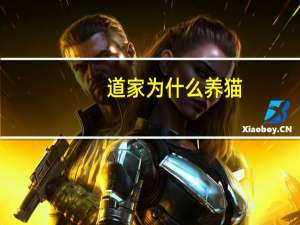 道家为什么养猫