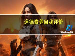 道德素养自我评价