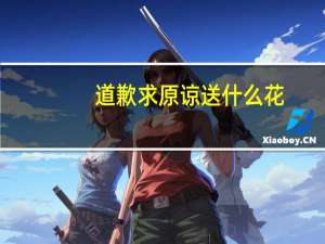 道歉求原谅送什么花