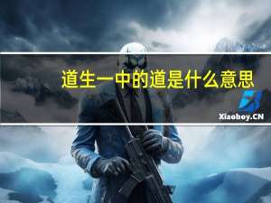 道生一中的道是什么意思