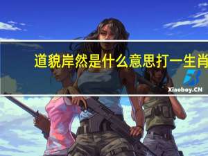 道貌岸然是什么意思打一生肖（道貌岸然是什么意思）
