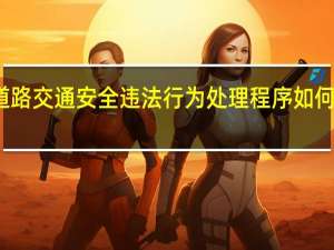 道路交通安全违法行为处理程序如何规定的