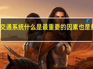 道路交通系统什么是最重要的因素也是最大的变量