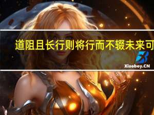 道阻且长行则将行而不辍未来可期（道阻且长）
