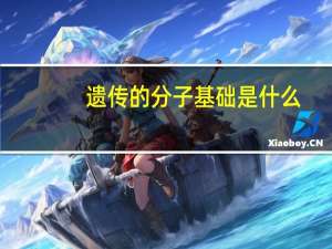 遗传的分子基础是什么