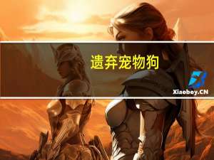 遗弃宠物狗