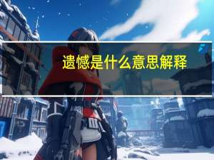 遗憾是什么意思解释（遗憾是什么意思）