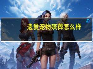 遗爱宠物殡葬怎么样