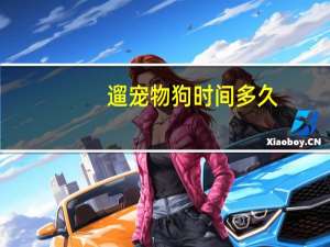 遛宠物狗时间多久