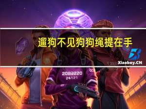 遛狗不见狗狗绳提在手