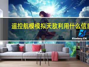 遥控航模模拟天敌利用什么信息