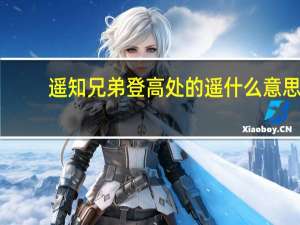 遥知兄弟登高处的遥什么意思