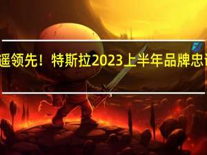 遥遥领先！特斯拉2023上半年品牌忠诚度曝光：远超行业平均水平