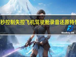 遭鸟击后12秒控制失控飞机驾驶舱录音还原特情 到底什么情况呢