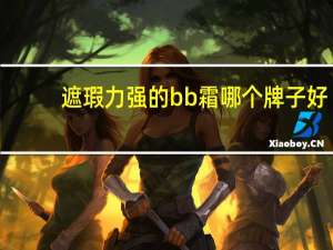 遮瑕力强的bb霜哪个牌子好
