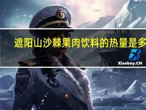 遮阳山 沙棘果肉饮料的热量是多少