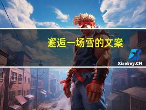 邂逅一场雪的文案