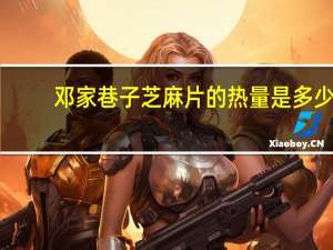 邓家巷子 芝麻片的热量是多少