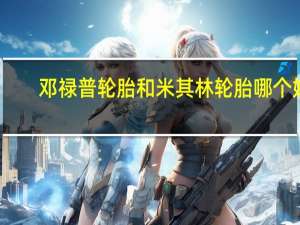 邓禄普轮胎和米其林轮胎哪个好