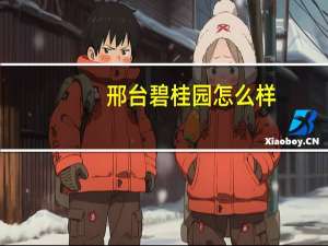 邢台碧桂园怎么样