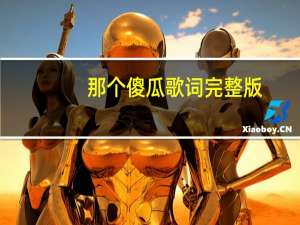 那个傻瓜歌词完整版（那个傻瓜歌词）