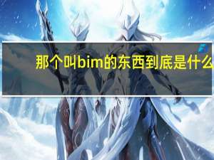 那个叫bim的东西到底是什么（那个叫bim的东西究竟是什么）
