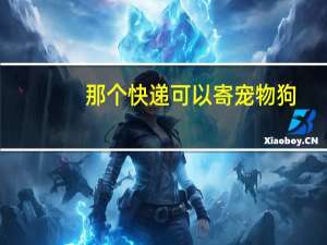 那个快递可以寄宠物狗