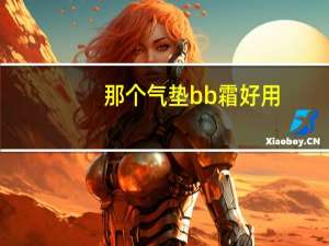 那个气垫bb霜好用