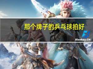 那个牌子的乒乓球拍好