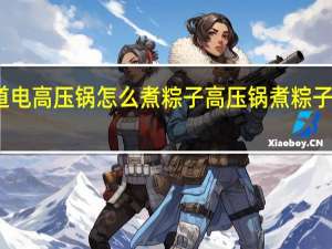 那个知道电高压锅怎么煮粽子 高压锅煮粽子的方法与步骤