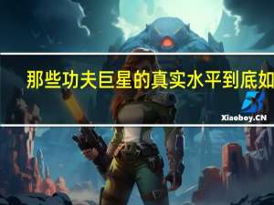 那些功夫巨星的真实水平到底如何