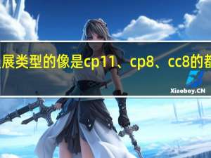 那些说漫展类型的像是cp11、cp8、cc8的都是什么意思啊