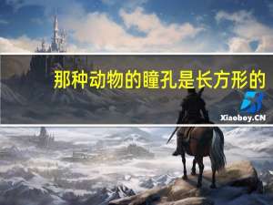 那种动物的瞳孔是长方形的